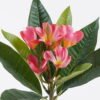Artificial Flower 20*17*57cm Plumeria single stem/9 lvs GS-70225011 2026Apr YeahFlower is one of Chinese leading OEM manufacturers and exporters , supplying the silk flowers, wholesale artificial trees
