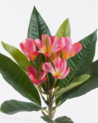 Artificial Flower 20*17*57cm Plumeria single stem/9 lvs GS-70225011 2026Apr YeahFlower is one of Chinese leading OEM manufacturers and exporters , supplying the silk flowers, wholesale artificial trees