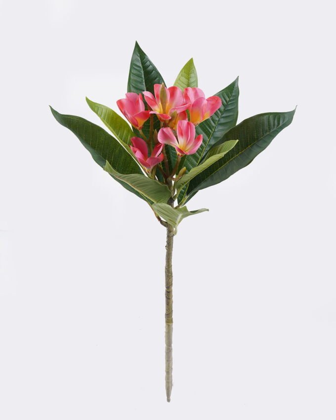 Artificial Flower 20*17*57cm Plumeria single stem/9 lvs GS-70225011 2026Apr YeahFlower is one of Chinese leading OEM manufacturers and exporters , supplying the silk flowers, wholesale artificial trees