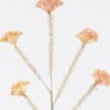 Artificial Flower Preserved flower single stem GS-51625087_5 Artificial Flower 15*15*76cm Preserved flower single stem GS-51625087 2026Apr YeahFlower is one of Chinese leading OEM manufacturers and exporters , supplying the silk flowers, wholesale artificial trees