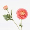 Artificial Flower 17*8*49cm Ranunculus asiaticus *2 single stem/moist real touch GS-46125004-O1 2026Apr YeahFlower is one of Chinese leading OEM manufacturers and exporters , supplying the silk flowers, wholesale artificial trees