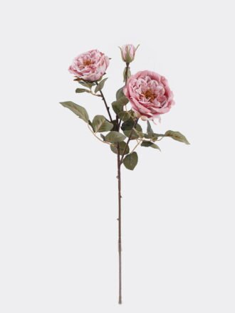 Artificial Flower 22*16*58cm Rose *3 single stem GS-14525051-O1 2026Mar 3,000+ sqm showroom with thousands of artificial flowers, plants & trees ready for global sourcing.
