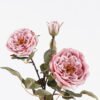 Artificial Flower Rose 3 single stem GS-14525051-P1_6 Artificial Flower 22*16*58cm Rose *3 single stem GS-14525051-P1 2026Mar YeahFlower is one of Chinese leading OEM manufacturers and exporters , supplying the silk flowers, wholesale artificial trees