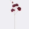 Artificial Flower Rose 5 single stem GS-39624017CT-R-R1_4 Artificial Flower 25*20*116cm Rose *5 single stem GS-39624017CT-R-R1 2026Apr YeahFlower is one of Chinese leading OEM manufacturers and exporters , supplying the silk flowers, wholesale artificial trees