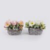 Artificial Flower 32*22*23cm Roses Primula malacoides in Basket GS-06925034 2026Mar YeahFlower is one of Chinese leading OEM manufacturers and exporters , supplying the silk flowers, wholesale artificial trees