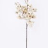 Artificial Flower Sakura single stem GS-27925103-W1_1 Artificial Flower 20*12*69cm Sakura single stem GS-27925103-W1 2026Mar YeahFlower is one of Chinese leading OEM manufacturers and exporters , supplying the silk flowers, wholesale artificial trees