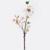 Artificial Flower Sakura single stem GS-82125010-P2_3 Artificial Flower 15*7*48cm Sakura single stem GS-82125010-P2 2026May 3,000+ sqm showroom with thousands of artificial flowers, plants & trees ready for global sourcing.