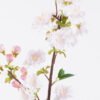 Artificial Flower Sakura single stem GS-82125010-P2_4 Artificial Flower 15*7*48cm Sakura single stem GS-82125010-P2 2026May 3,000+ sqm showroom with thousands of artificial flowers, plants & trees ready for global sourcing.