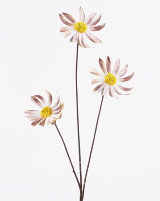 Artificial Flower 17*6*70cm Small daisy *3 single stem GS-15425092 2026Mar YeahFlower is one of Chinese leading OEM manufacturers and exporters , supplying the silk flowers, wholesale artificial trees Artificial Flower 17*6*70cm Small daisy *3 single stem GS-15425092 2026Mar YeahFlower is one of Chinese leading OEM manufacturers and exporters , supplying the silk flowers, wholesale artificial trees