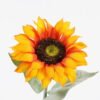 Artificial Flower 15*15*62cm Sunflower single stem/moist real touch GS-46125005 2026Apr YeahFlower is one of Chinese leading OEM manufacturers and exporters , supplying the silk flowers, wholesale artificial trees