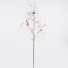 Artificial Flower Swamp mahogany single stem GS-14525049_7 Artificial Flower 30*15*103cm Swamp mahogany single stem GS-14525049 2026Mar YeahFlower is one of Chinese leading OEM manufacturers and exporters , supplying the silk flowers, wholesale artificial trees