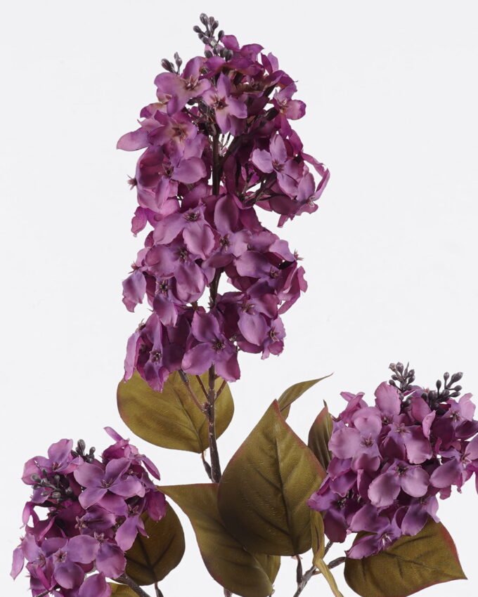 Artificial Flower 16*7*75cm Syzygium aromaticum *3 single stem GS-71625016 2026May 3,000+ sqm showroom with thousands of artificial flowers, plants & trees ready for global sourcing.