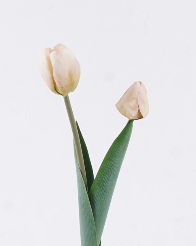 Artificial Flower 10*5*54cm Tulip *2 single stem GS-77525025-W2 2026May 3,000+ sqm showroom with thousands of artificial flowers, plants & trees ready for global sourcing.
