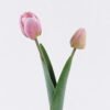 Artificial Flower Tulip 2 single stem GS-77525025_3 Artificial Flower 10*5*54cm Tulip *2 single stem GS-77525025 2026May 3,000+ sqm showroom with thousands of artificial flowers, plants & trees ready for global sourcing.