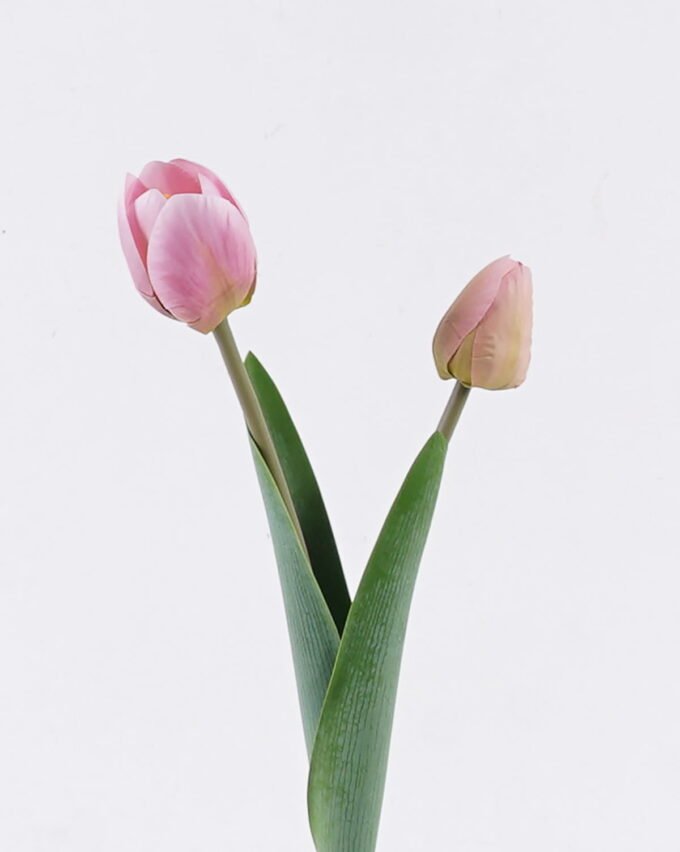 Artificial Flower Tulip 2 single stem GS-77525025_3 Artificial Flower 10*5*54cm Tulip *2 single stem GS-77525025 2026May 3,000+ sqm showroom with thousands of artificial flowers, plants & trees ready for global sourcing.