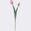 Artificial Flower Tulip 2 single stem GS-77525025_4 Artificial Flower 10*5*54cm Tulip *2 single stem GS-77525025 2026May 3,000+ sqm showroom with thousands of artificial flowers, plants & trees ready for global sourcing.