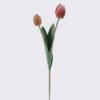 Artificial Flower Tulip 2 single stem GS-77525025_5 Artificial Flower 10*5*54cm Tulip *2 single stem GS-77525025 2026May 3,000+ sqm showroom with thousands of artificial flowers, plants & trees ready for global sourcing.