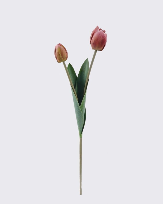 Artificial Flower Tulip 2 single stem GS-77525025_5 Artificial Flower 10*5*54cm Tulip *2 single stem GS-77525025 2026May 3,000+ sqm showroom with thousands of artificial flowers, plants & trees ready for global sourcing.