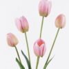 Artificial Flower Tulip 5 bush GS-77525028-P1_4 Artificial Flower 16*6*74cm Tulip *5 bush GS-77525028-P1 2026May 3,000+ sqm showroom with thousands of artificial flowers, plants & trees ready for global sourcing.