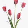 Artificial Flower 16*6*73cm  Tulip *5 bush/real touch GS-77525029-R1 2026May 3,000+ sqm showroom with thousands of artificial flowers, plants & trees ready for global sourcing.