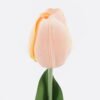 Artificial Flower 5*4*45cm Tulip single stem/moist real touch GS-46125001 2026Apr YeahFlower is one of Chinese leading OEM manufacturers and exporters , supplying the silk flowers, wholesale artificial trees