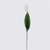 Artificial Flower 5*4*45cm Tulip single stem/moist real touch GS-46125001 2026Apr YeahFlower is one of Chinese leading OEM manufacturers and exporters , supplying the silk flowers, wholesale artificial trees