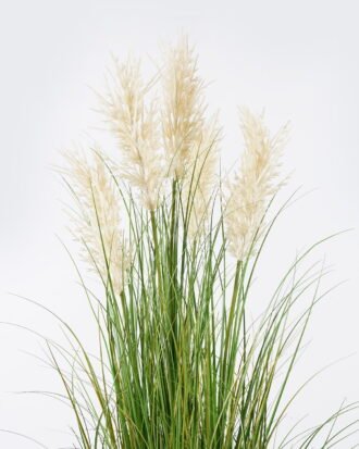 Artificial Grass 50*50*120cm  Cortaderia *5 in pp pot GS-61925060 2026Apr YeahFlower is one of Chinese leading OEM manufacturers and exporters , supplying the silk flowers, wholesale artificial trees