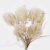 Artificial Grass Grass 5 bush GS-81225005_3 Artificial Grass 11*4*32cm Grass *5 bush GS-81225005 2026May 3,000+ sqm showroom with thousands of artificial flowers, plants & trees ready for global sourcing.