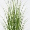 Artificial Grass 70*70*150cm   Grass  in  pp  pot GS-61925045 2026Apr YeahFlower is one of Chinese leading OEM manufacturers and exporters , supplying the silk flowers, wholesale artificial trees