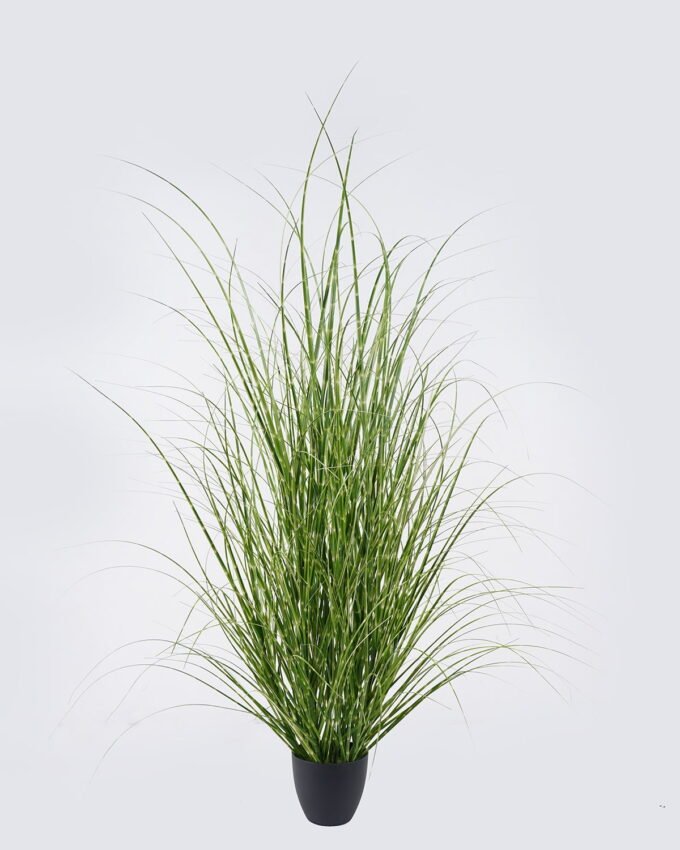 Artificial Grass 65*65*120cm  Grass  in  pp  pot GS-61925046 2026Apr YeahFlower is one of Chinese leading OEM manufacturers and exporters , supplying the silk flowers, wholesale artificial trees