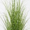 Artificial Grass 65*65*120cm  Grass  in  pp  pot GS-61925046 2026Apr YeahFlower is one of Chinese leading OEM manufacturers and exporters , supplying the silk flowers, wholesale artificial trees