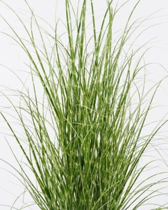 Artificial Grass 65*65*120cm  Grass  in  pp  pot GS-61925046 2026Apr YeahFlower is one of Chinese leading OEM manufacturers and exporters , supplying the silk flowers, wholesale artificial trees