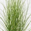Artificial Grass 65*65*90cm  Grass  in  pp  pot GS-61925047 2026Apr YeahFlower is one of Chinese leading OEM manufacturers and exporters , supplying the silk flowers, wholesale artificial trees