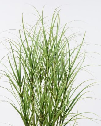 Artificial Grass 55*55*120cm  Grass  in  pp  pot GS-61925049 2026Apr YeahFlower is one of Chinese leading OEM manufacturers and exporters , supplying the silk flowers, wholesale artificial trees