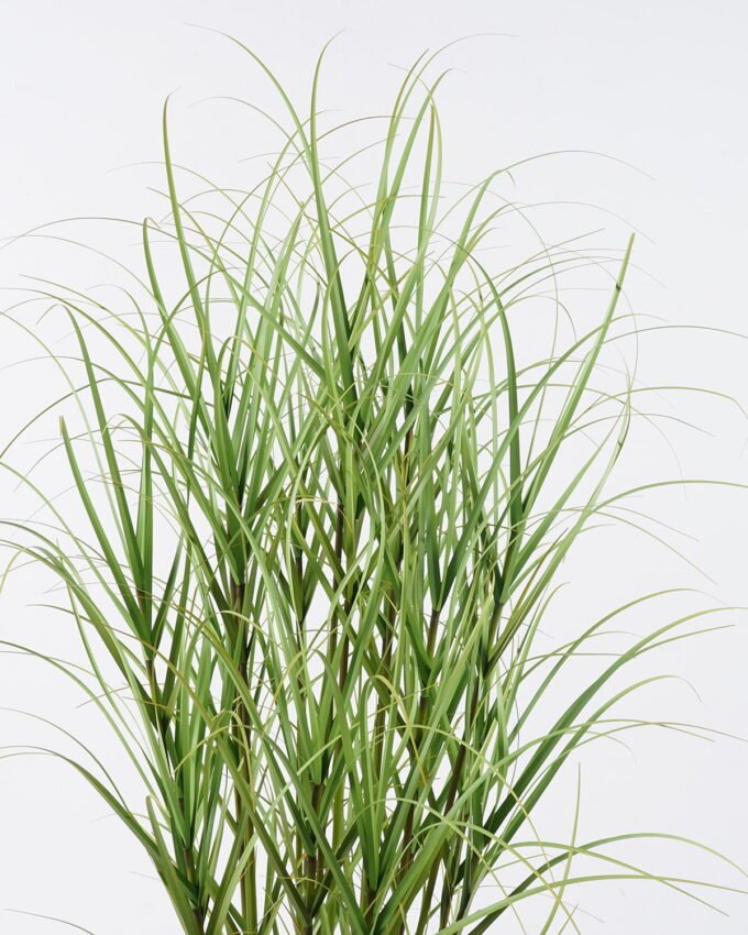 Artificial Grass 55*55*120cm  Grass  in  pp  pot GS-61925049 2026Apr YeahFlower is one of Chinese leading OEM manufacturers and exporters , supplying the silk flowers, wholesale artificial trees