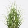 Artificial Grass 45*45*90cm  Grass  in  pp  pot GS-61925050 2026Apr YeahFlower is one of Chinese leading OEM manufacturers and exporters , supplying the silk flowers, wholesale artificial trees