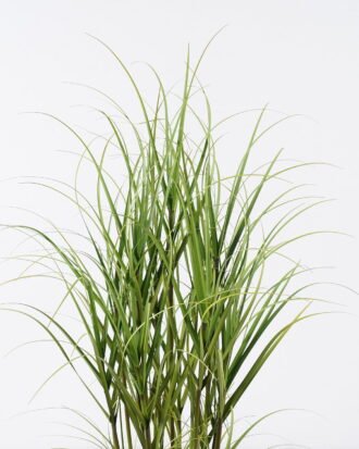 Artificial Grass 45*45*90cm  Grass  in  pp  pot GS-61925050 2026Apr YeahFlower is one of Chinese leading OEM manufacturers and exporters , supplying the silk flowers, wholesale artificial trees