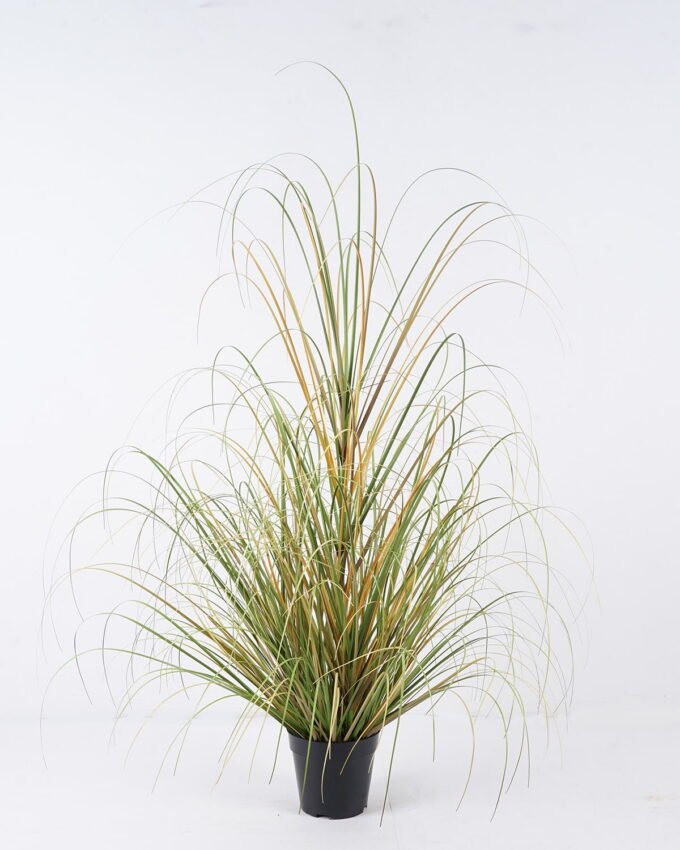 Artificial Grass Grass in pp pot GS-82025001_4 Artificial Grass 75*75*121cm Grass in pp pot GS-82025001 2026May 3,000+ sqm showroom with thousands of artificial flowers, plants & trees ready for global sourcing.
