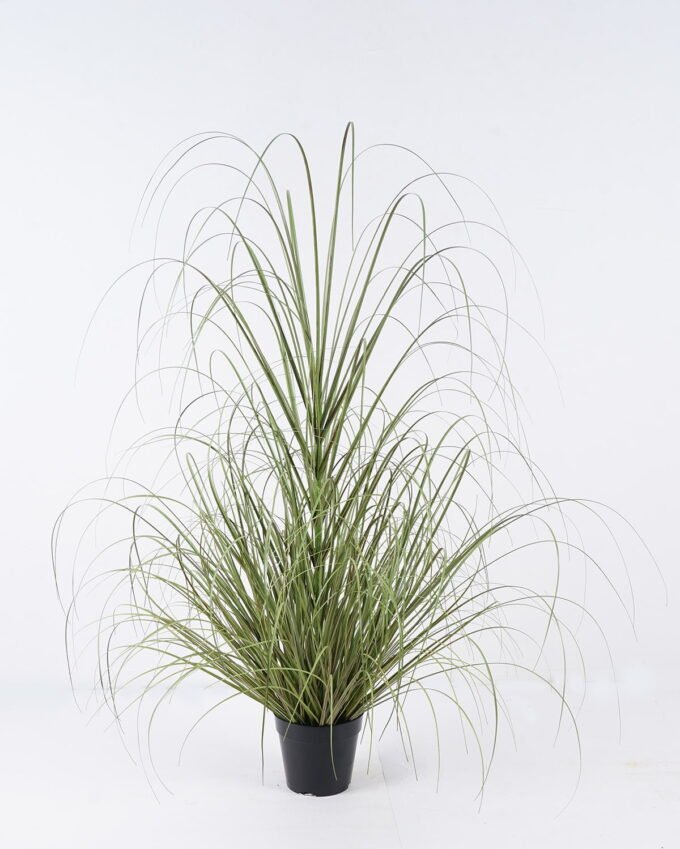 Artificial Grass Grass in pp pot GS-82025001_5 Artificial Grass 75*75*121cm Grass in pp pot GS-82025001 2026May 3,000+ sqm showroom with thousands of artificial flowers, plants & trees ready for global sourcing.