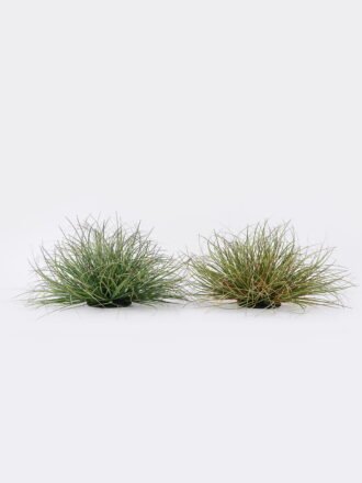 Artificial Grass 60*60*29cm Grass in pp pot GS-82025004 2026May 3,000+ sqm showroom with thousands of artificial flowers, plants & trees ready for global sourcing.