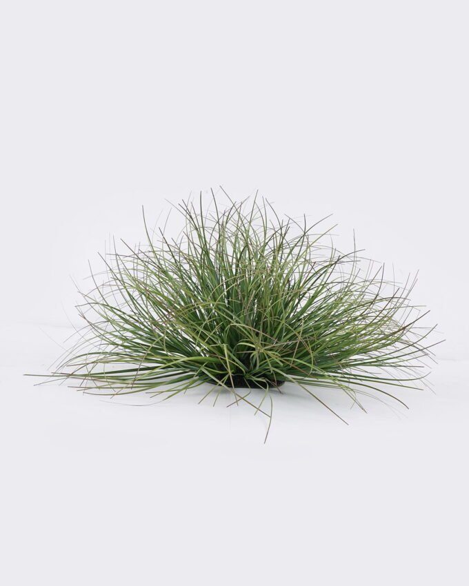 Artificial Grass 45*45*26cm Grass in pp pot GS-82025003 2026May 3,000+ sqm showroom with thousands of artificial flowers, plants & trees ready for global sourcing.