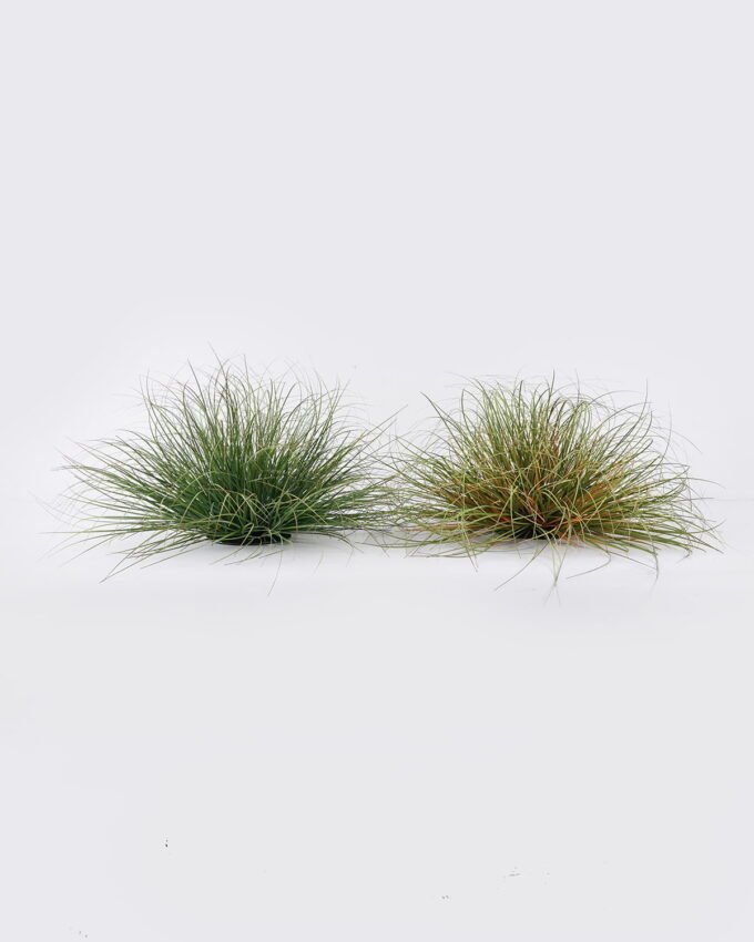 Artificial Grass 60*60*29cm Grass in pp pot GS-82025004 2026May 3,000+ sqm showroom with thousands of artificial flowers, plants & trees ready for global sourcing.