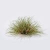 Artificial Grass Grass in pp pot GS-82025004_3 Artificial Grass 60*60*29cm Grass in pp pot GS-82025004 2026May 3,000+ sqm showroom with thousands of artificial flowers, plants & trees ready for global sourcing.
