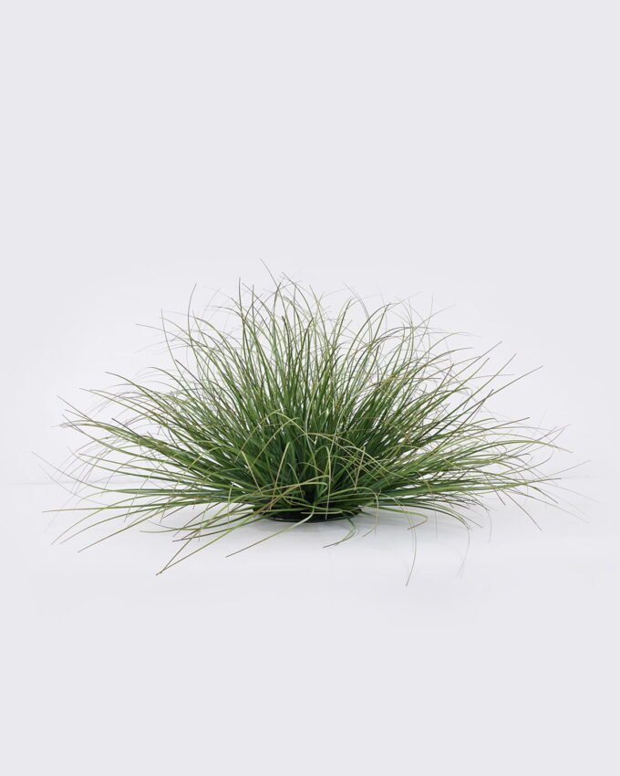 Artificial Grass Grass in pp pot GS-82025004_4 Artificial Grass 60*60*29cm Grass in pp pot GS-82025004 2026May 3,000+ sqm showroom with thousands of artificial flowers, plants & trees ready for global sourcing.