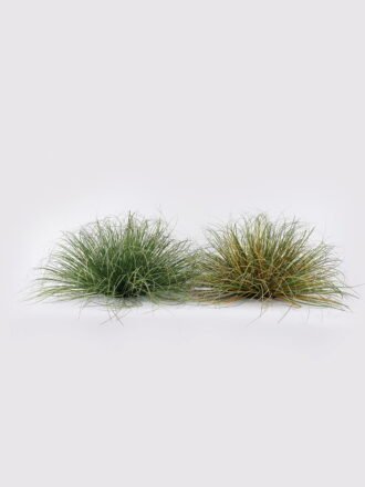 Artificial Flower 22*5*120cm Frond single stem/moist real touch GS-82125001 2026May 3,000+ sqm showroom with thousands of artificial flowers, plants & trees ready for global sourcing.