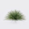 Artificial Grass Grass in pp pot GS-82025005_4 Artificial Grass 65*65*38cm Grass in pp pot GS-82025005 2026May 3,000+ sqm showroom with thousands of artificial flowers, plants & trees ready for global sourcing.