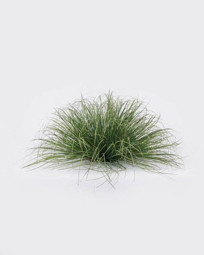 Artificial Grass Grass in pp pot GS-82025005_4 Artificial Grass 65*65*38cm Grass in pp pot GS-82025005 2026May 3,000+ sqm showroom with thousands of artificial flowers, plants & trees ready for global sourcing.