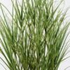 Artificial Grass 75*75*150cm  Grass  in  pp  pott GS-61925048 2026Apr YeahFlower is one of Chinese leading OEM manufacturers and exporters , supplying the silk flowers, wholesale artificial trees
