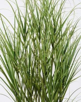 Artificial Grass 75*75*150cm  Grass  in  pp  pott GS-61925048 2026Apr YeahFlower is one of Chinese leading OEM manufacturers and exporters , supplying the silk flowers, wholesale artificial trees