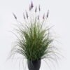 Artificial Grass 65*65*90cm Lavender  *11 in  pp  pot GS-61925055 2026Apr YeahFlower is one of Chinese leading OEM manufacturers and exporters , supplying the silk flowers, wholesale artificial trees